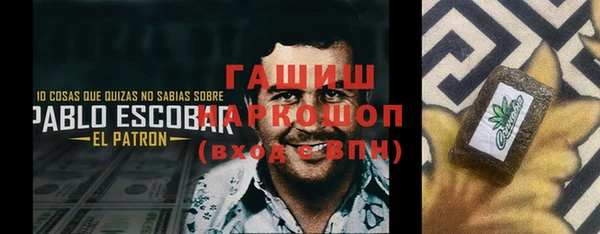 прущие грибы Аркадак