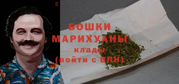 прущие грибы Аркадак
