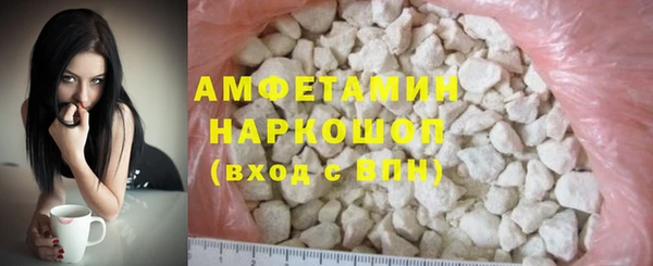 прущие грибы Аркадак