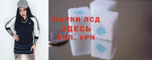 прущие грибы Аркадак