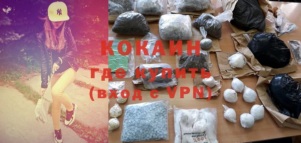 прущие грибы Аркадак