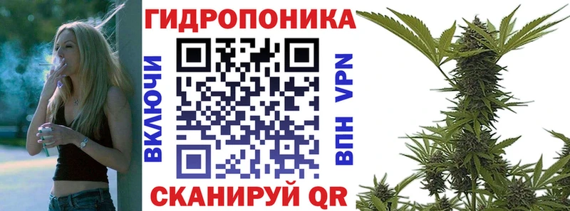МАРИХУАНА White Widow Приозерск
